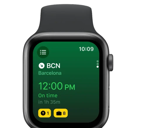 byAir flight details on Apple Watch